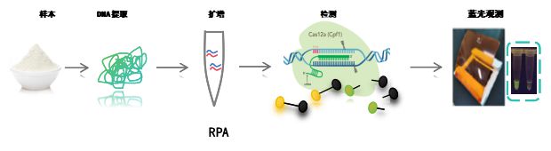 一文让你轻松读懂CRISPR检测技术原理(图4)