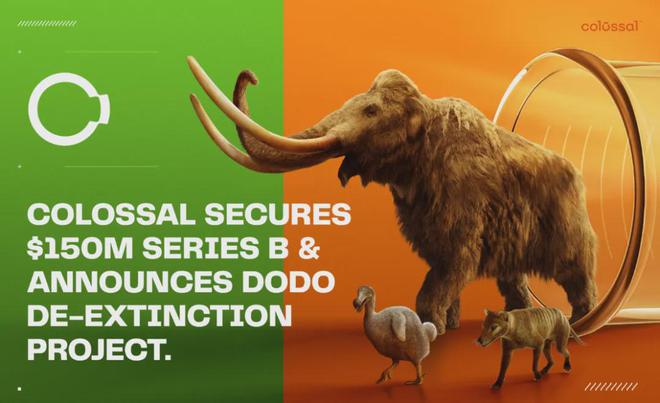 世界首次！乔治·丘奇团队“复活”已灭绝一万多年的“冰原狼”计划2028年复活猛犸象(图6)