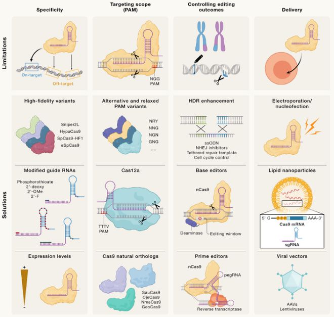 Cell｜CRISPR基因编辑技术的过去、现在和未来(图3)